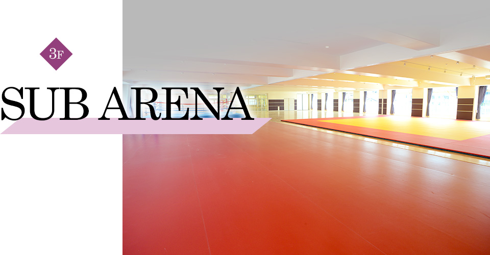 SUB ARENA